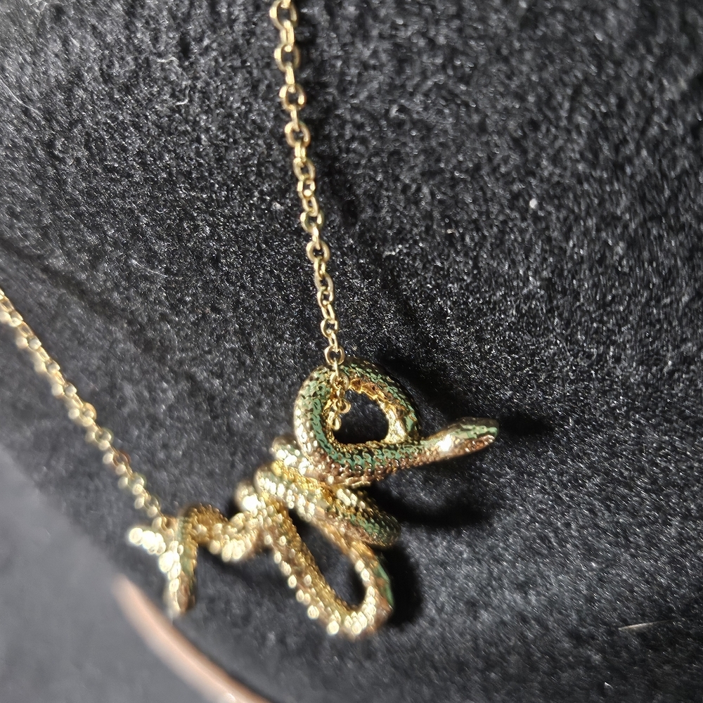 Gold Snake Slide Charm Necklace - Picture 6 of 10